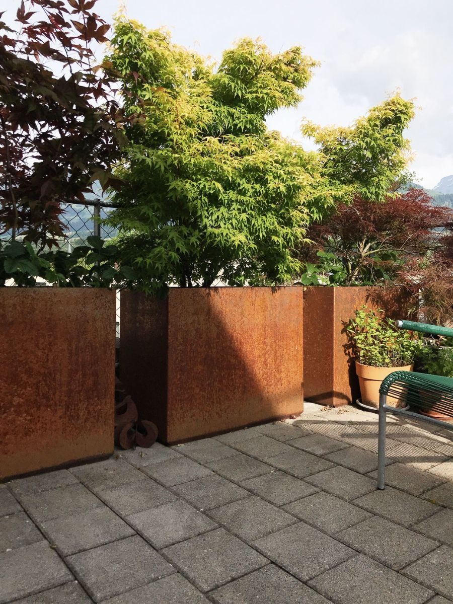 Zwei hohe Pflanztröge aus Rohstahl mit Rostpatina, bepflanzt, auf einer Terrasse